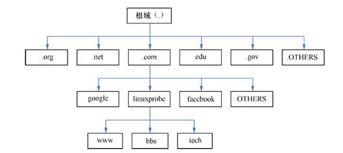 深入解析Linux网络服务 DNS服务详解